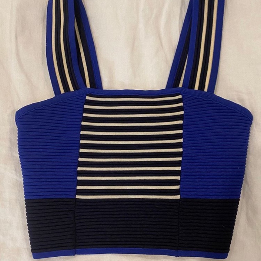 Royal blue black and white striped crop top